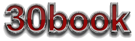 30book logo